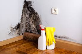 Mold Removal for HVAC Installations in Spindale, NC